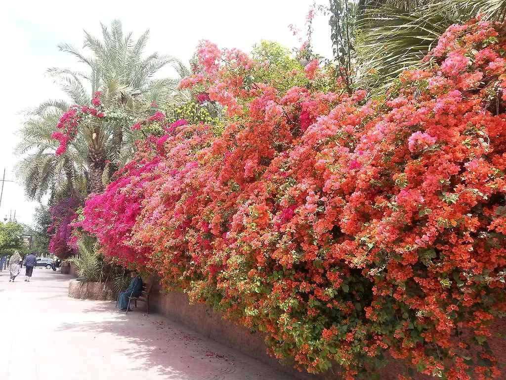 Riad Des Etoiles Marrakesh 3*,  Morocco